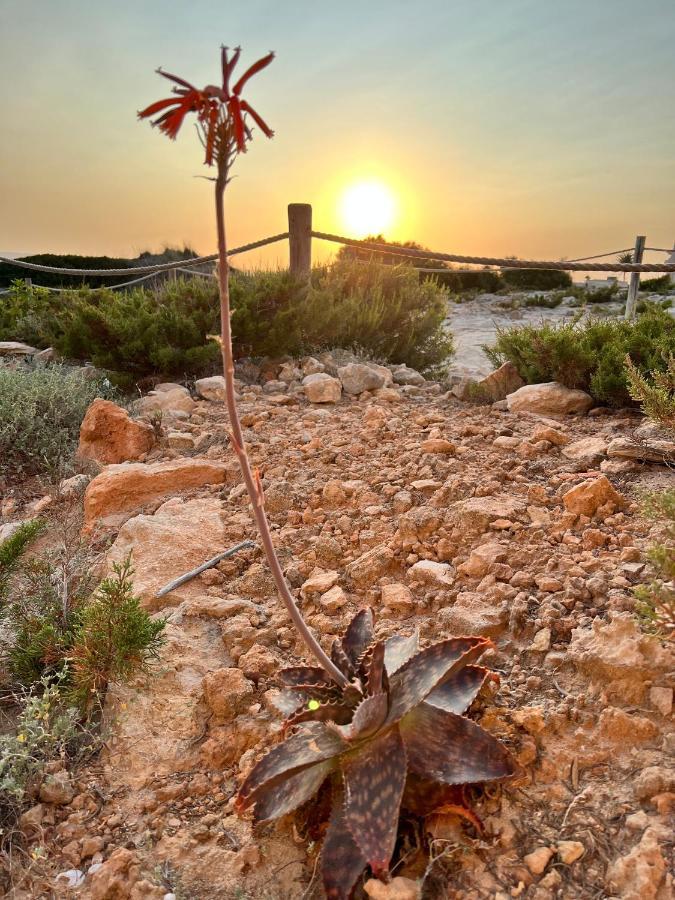 Villa Arenas Del Mar Formentera Es Arenals Exterior foto